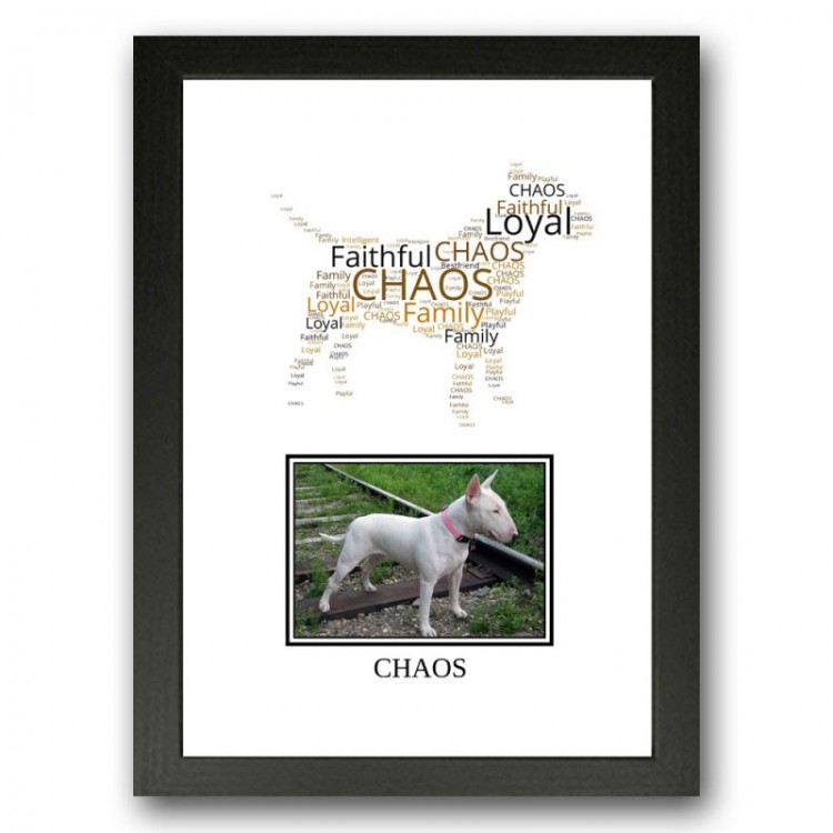 English Bull Terrier Photo Print Gift